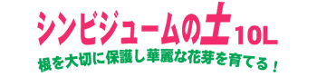 ؂ɕی삵ؗȉԉĂI