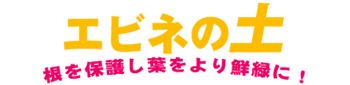 ی삵tN΂ɁI