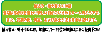 A݁EAւ̎c@炫IV肪̂юn߂5`6łBԊ̊ԁE^āEy銦͔܂B