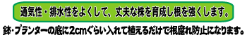 ʋCEr悭āAvȊ琬܂B