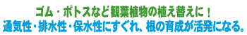 SE|gXȂǊϗtA̐AւɁI