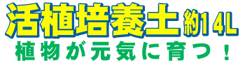 ACɈI