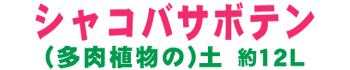 VRoT{eiAj̓y12L