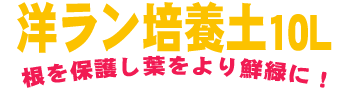 ی삵tN΂ɁI