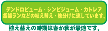 fhr[EVrW[EJgAEӒȂǂ̐AւEɓKĂ܂BAւ̎͏tHœKłB